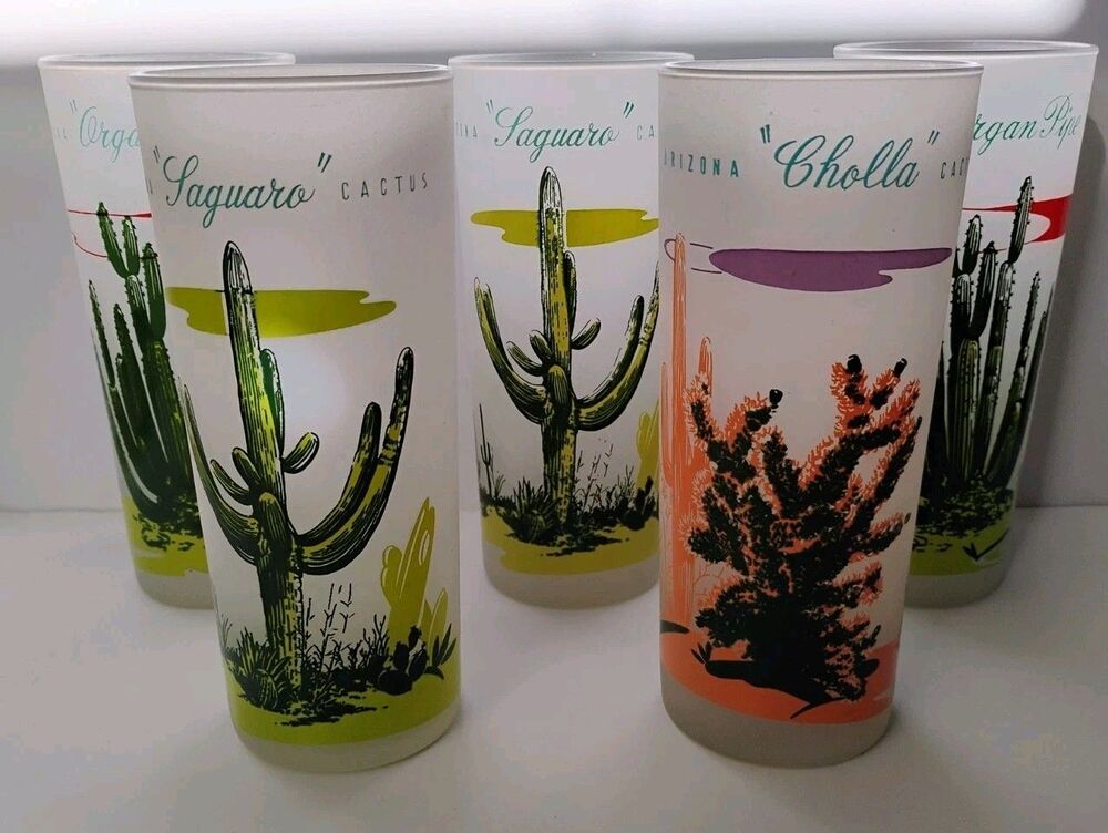 Vintage Blakely Oil Gas Arizona Cactus Frosted Highball Glasses Set of 5 1950s